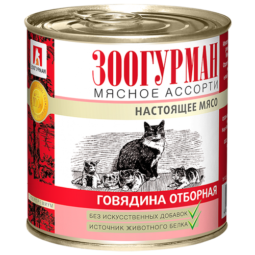 Влажный корм для кошек Зоогурман Мясное ассорти, с говядиной 2 шт. х 250 г (паштет) влажный корм для кошек зоогурман мясное ассорти с ягненком с говядиной 2 шт х 100 г паштет