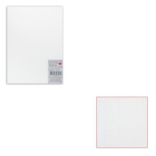 Картон белый грунтованный для живописи, 25×35 см, двусторонний, толщина 2 мм, акриловый грунт 5 штук