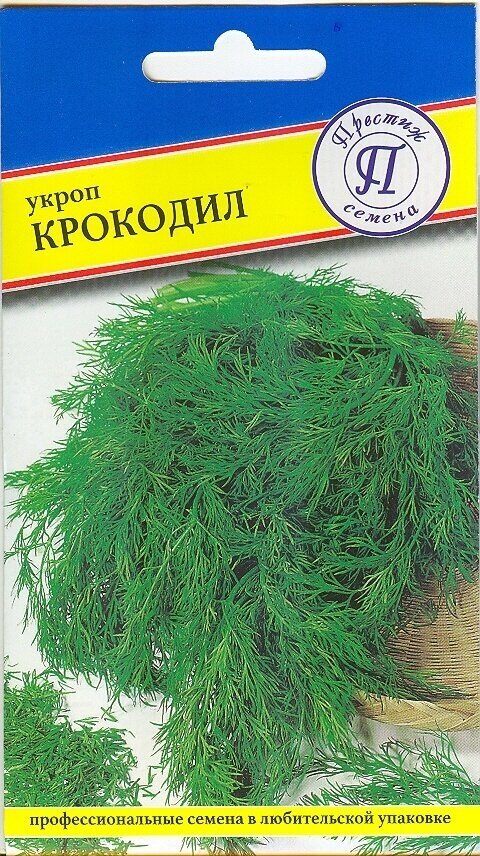 Укроп Крокодил Новинка. Семена. Растение мощное среднерослое до 1 м. высотой с нежными и пушистыми листочками