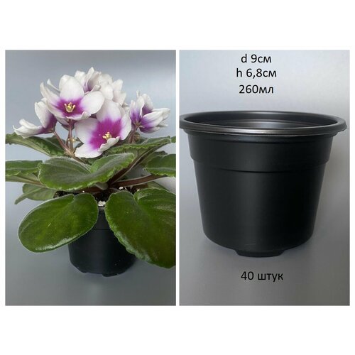 АЭД d9см, 260мл, 40шт, горшок для цветов, рассады, фиалок черный, круглый