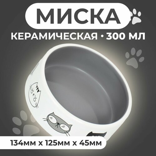 Миска керамическая "Четыре кота" 300 мл 12,5 x 4,5 cм, бело-серая
