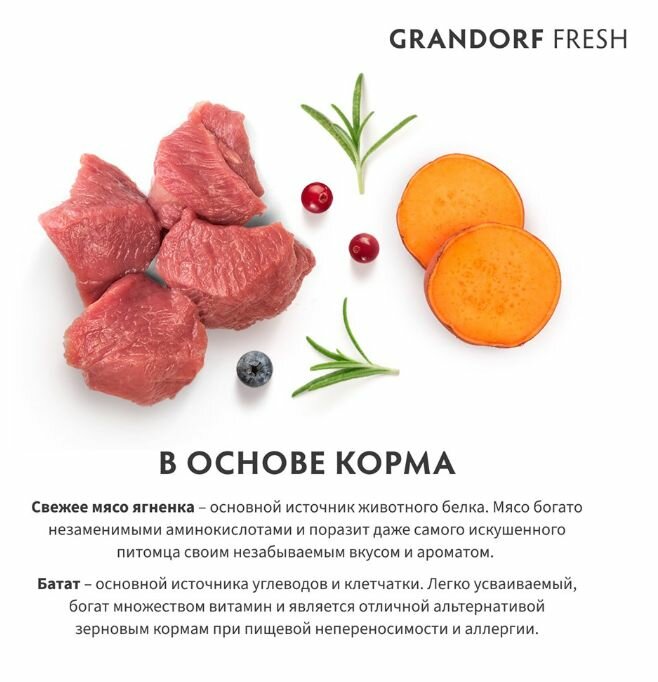 Grandorf Fresh Cat Kitten Lamb&Sweet Potato сухой корм для котят и беременных кошек с ягненком и бататом 2кг — фото 1