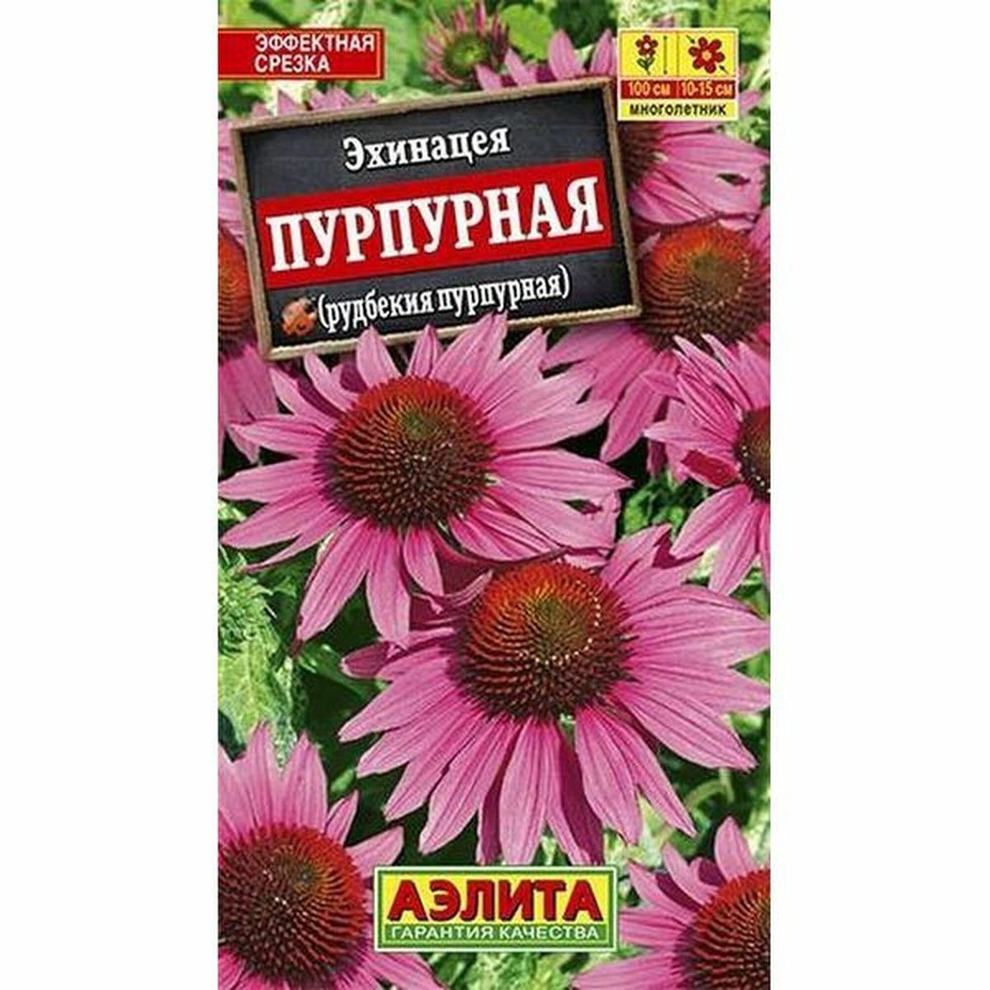 Семена Эхинацея пурпурная (Рудбекия пурпурная) многолетние Аэлита 1 пачка - 0.2г семян
