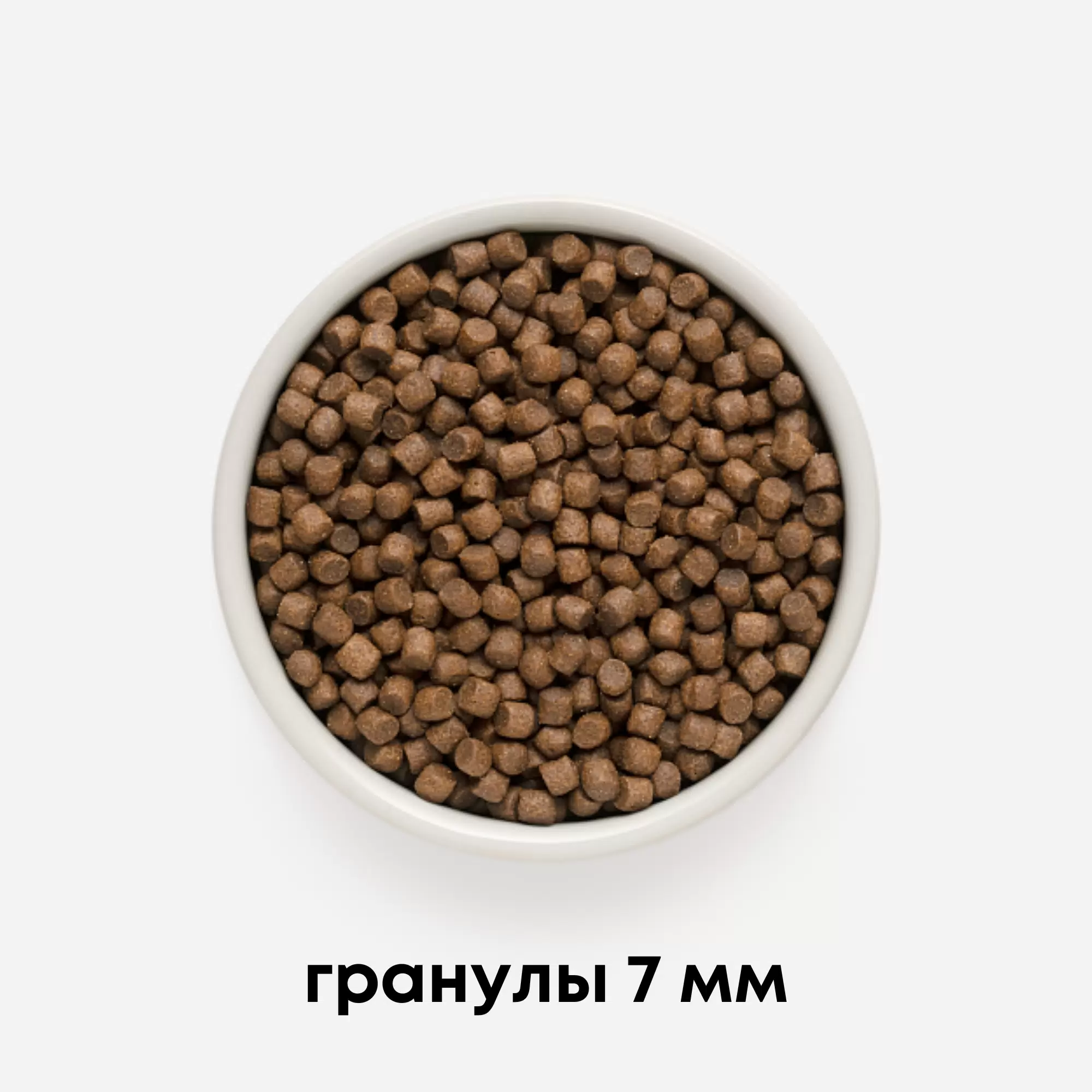 Сухой корм для собак PREMIER Dog Turkey ADULT Mini (Свежее мясо индейки для собак мелких пород) 1 кг — фото 1