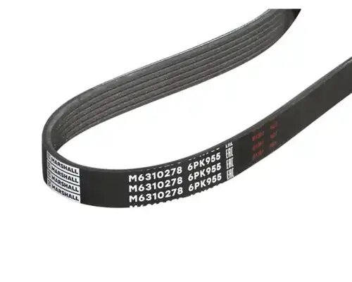 Ремень поликлиновой MARSHALL M6310278