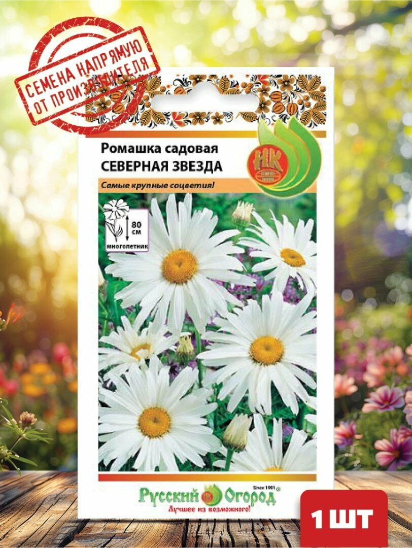 Семена растения ромашка садовая северная звезда