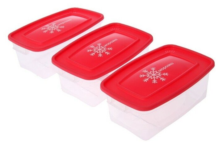 Набор прямоугольных контейнеров для замораживания продуктов «Морозко», 1 л , 3 шт, цвет микс - фотография № 8
