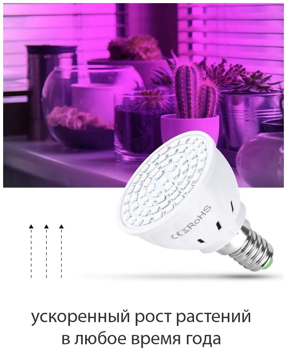 Светодиодная фитолампа (лампа для растений) Maple Lamp PhytoLED, Е14, 6 Вт, арт. LED-E14-6W-Flora