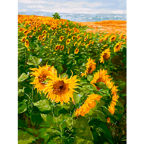 фото Картина по номерам белоснежка "солнечные братья" / раскраска / холст на подрамнике 30х40 см. / цветы / подсолнухи в поле