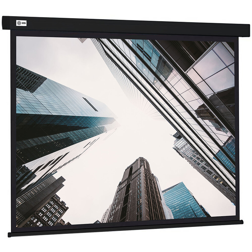 Экран для проектора Cactus Wallscreen CS-PSW-124X221-BK 124.5x221 см, black