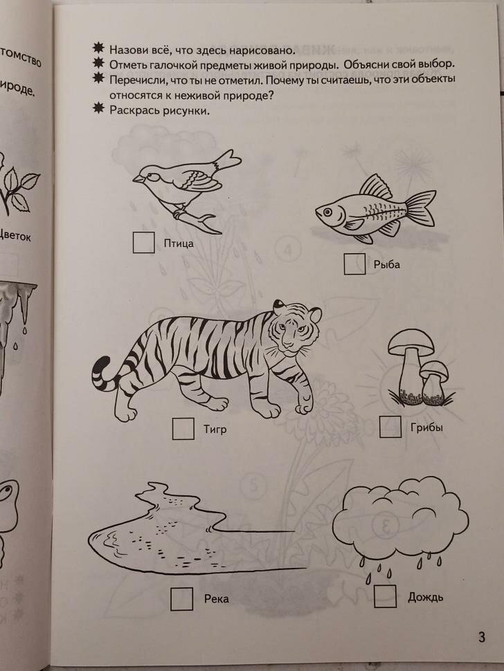 Знакомимся с окружающим миром (для детей 5-6 лет) - фото №18