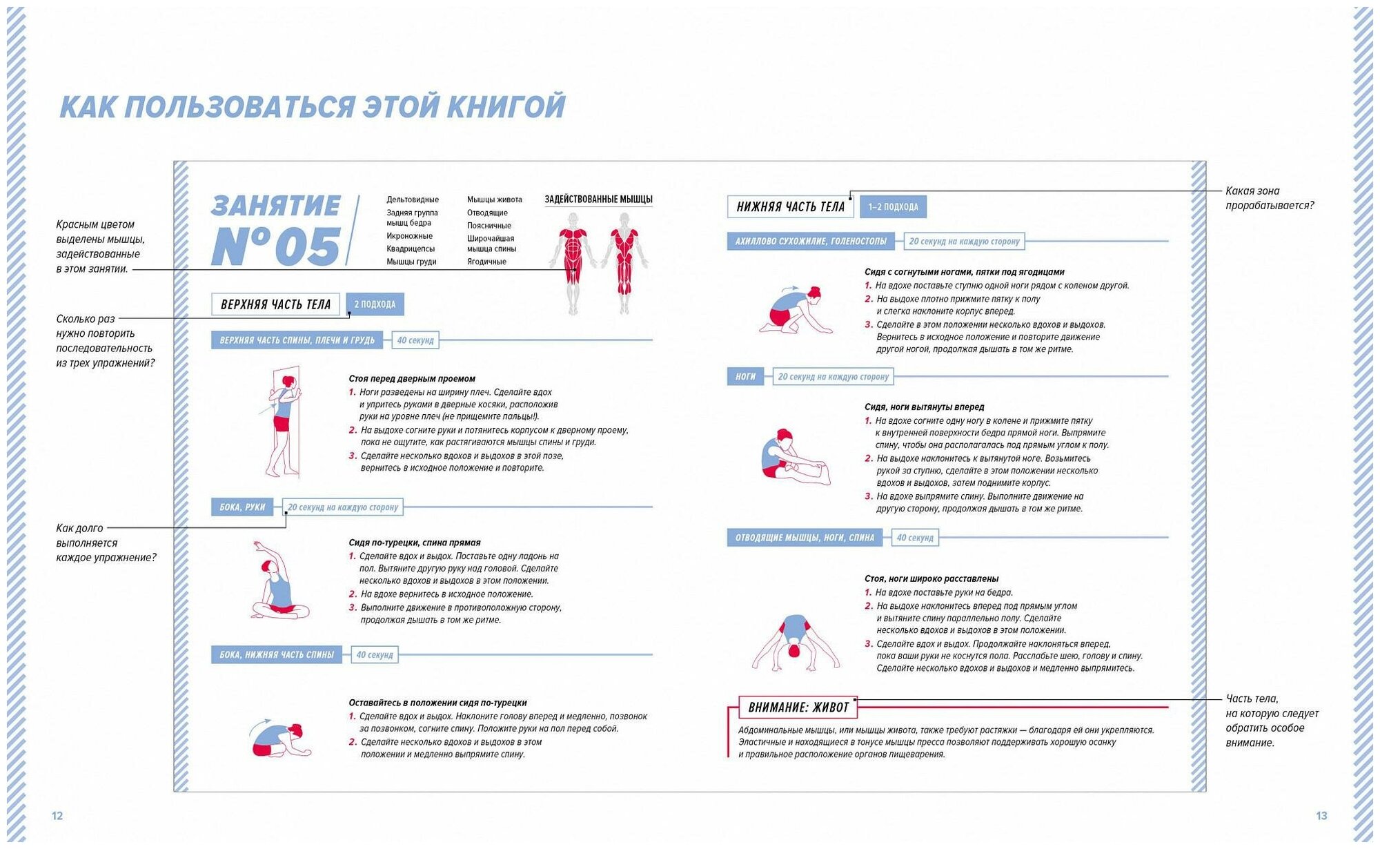 Стретчинг. 7 минут в день. Растяжка, гибкость, пластичность. Пошаговая программа обретения хорошей физической формы за 30 дней - фото №3