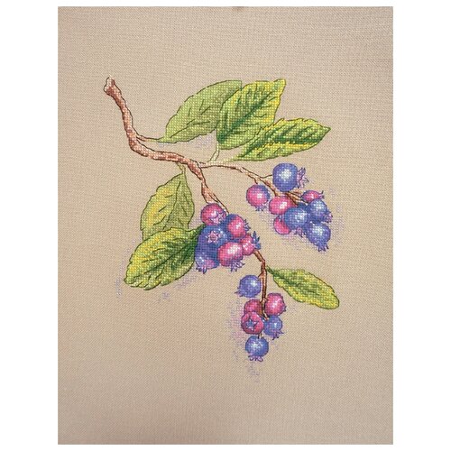 фото Набор для вышивания ягоды ирги марья искусница