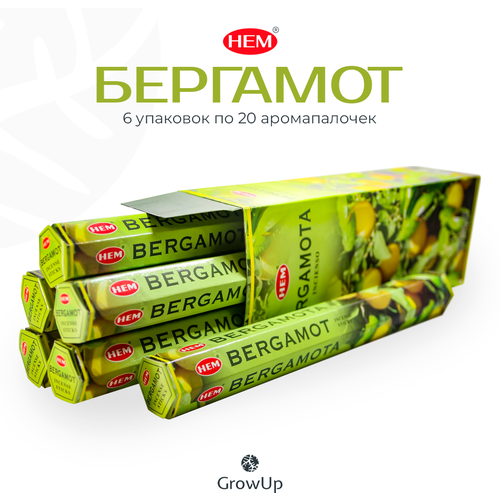 HEM Бергамот - 6 упаковок по 20 шт - ароматические благовония, палочки, Bergamot - Hexa ХЕМ блок 6 шт благовоние hem бергамот bergamot перо павлина