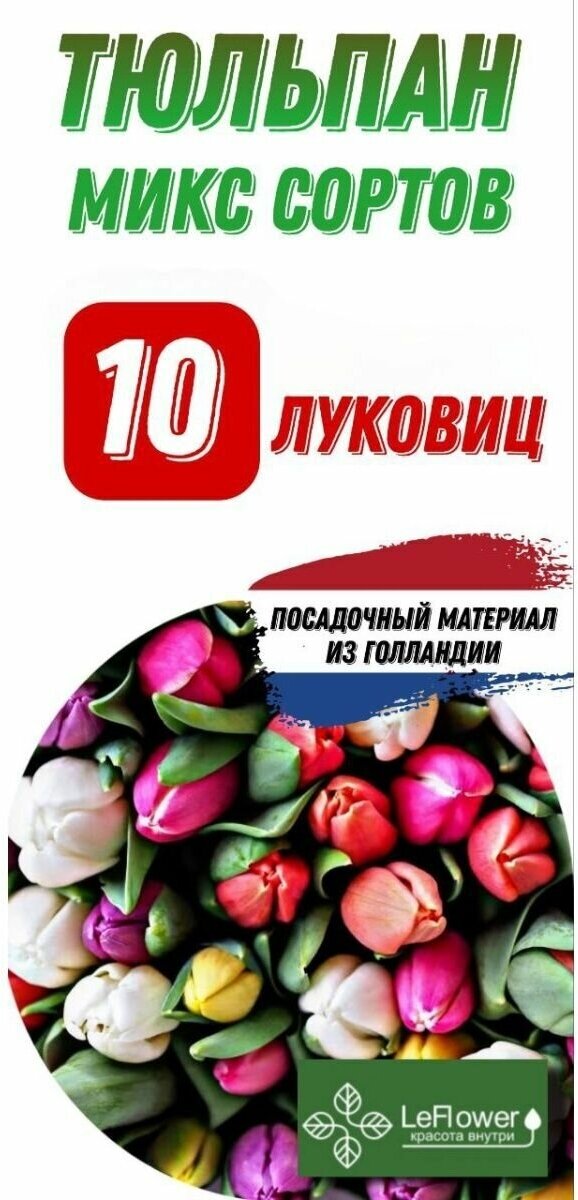 Тюльпан Луковица, Микс сортов, 10шт