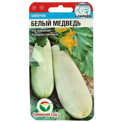 Семена Кабачок Белый медведь, 5шт.