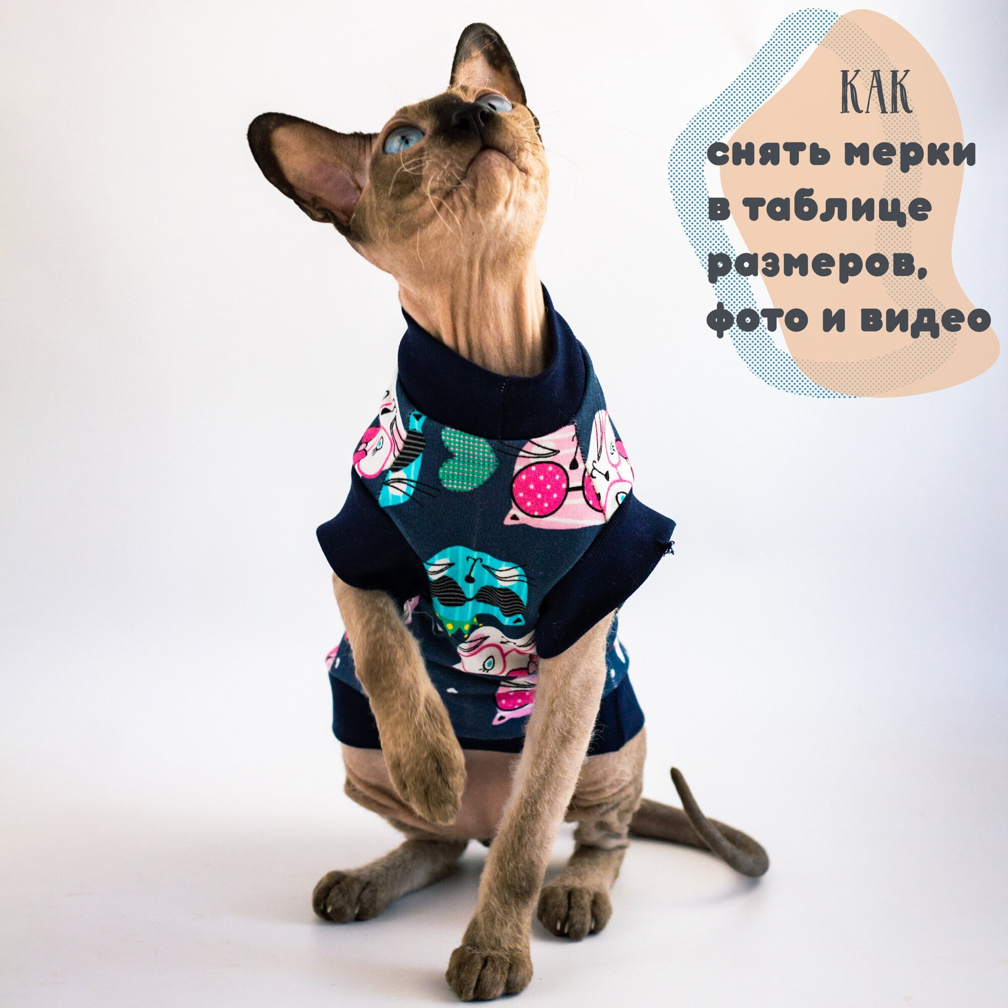 Одежда для кошек Элегантный Кот, футболка Кошачий Вайб , размер L - фотография № 6