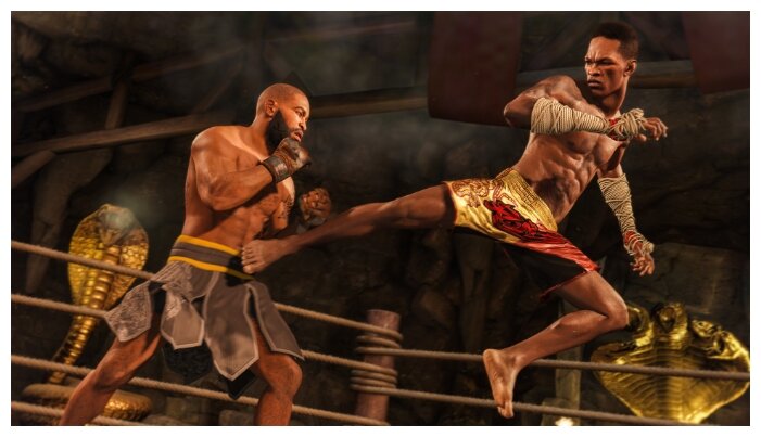 Игра для PlayStation 4 UFC 4, русские субтитры фото 5