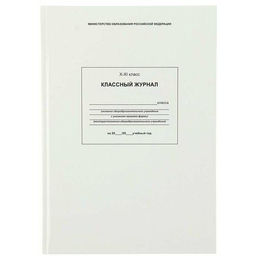 Классный журнал для 10-11 классов, 96 листов, 205 х 290 мм, твёрдая обложка, глянцевая ламинация классный журнал 5 9 классы