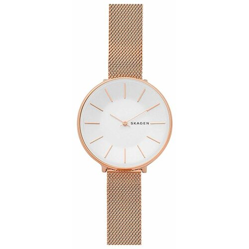 Наручные часы SKAGEN Mesh, белый