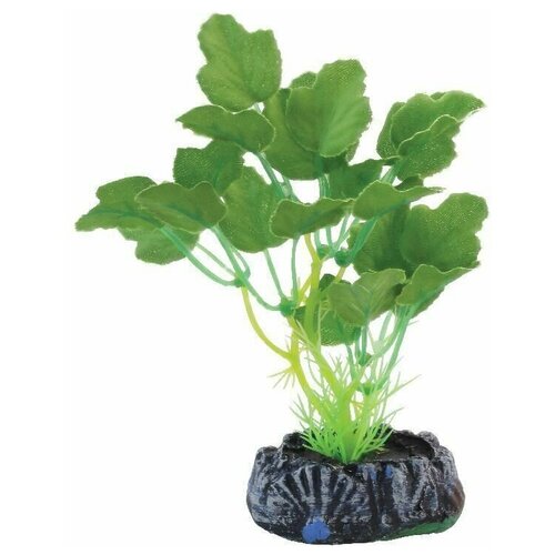 Растение шелковое Гидрокотила 70мм 2 шт 1084₽