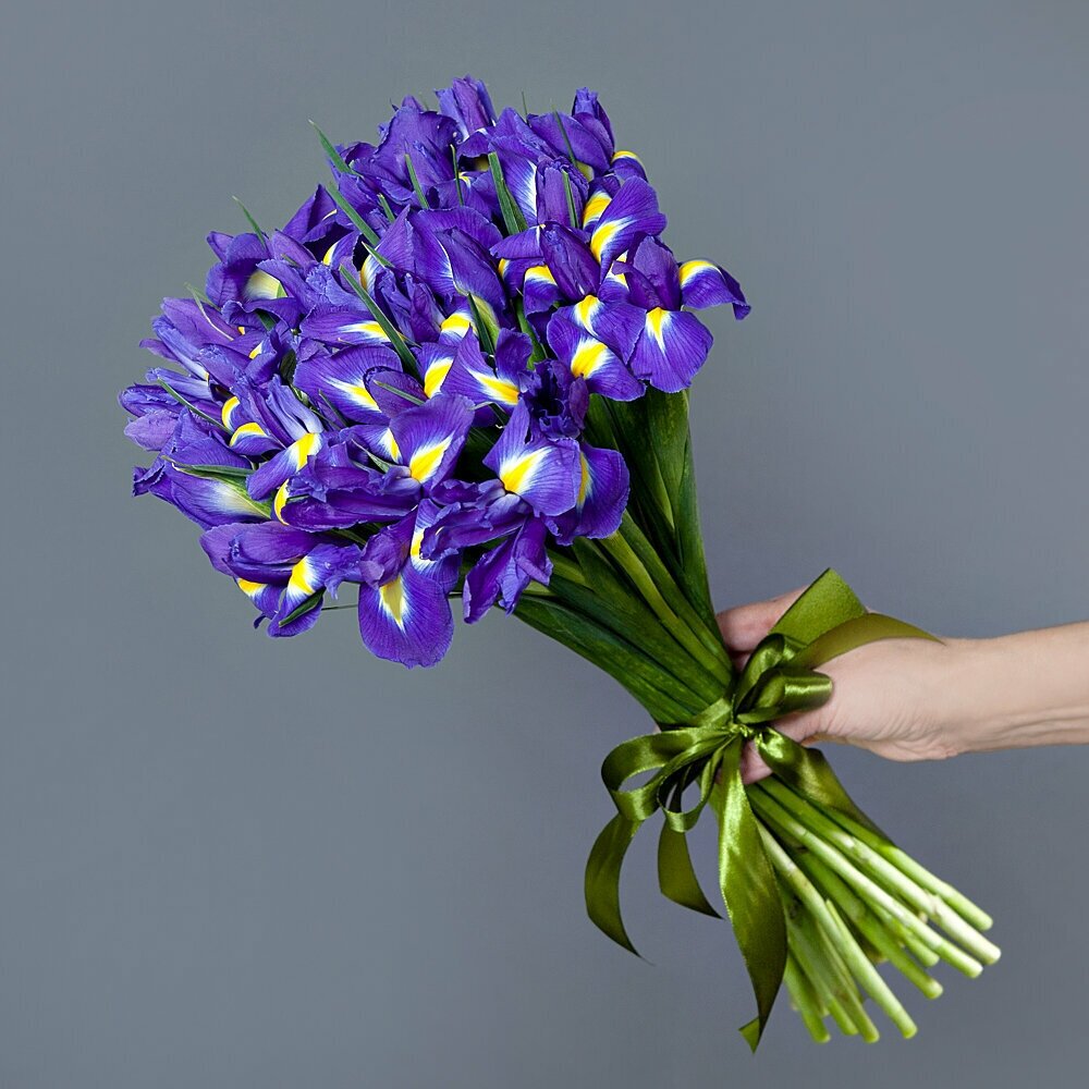 Моно цветы живые срезанные, букет из 25 синих Ирисов