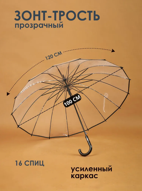 Зонт полуавтомат, прозрачный, для женщин, бесцветный