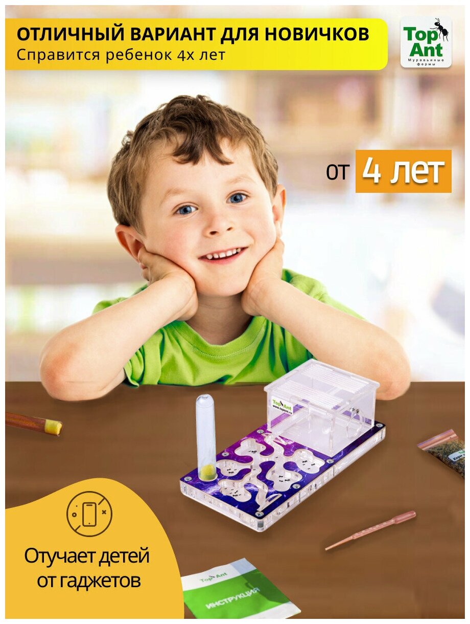 Малая муравьиная ферма максимальный комплект — фото 1