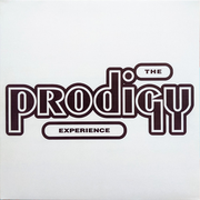 The Prodigy - Experience, 2LP Gatefold, BLACK LP
