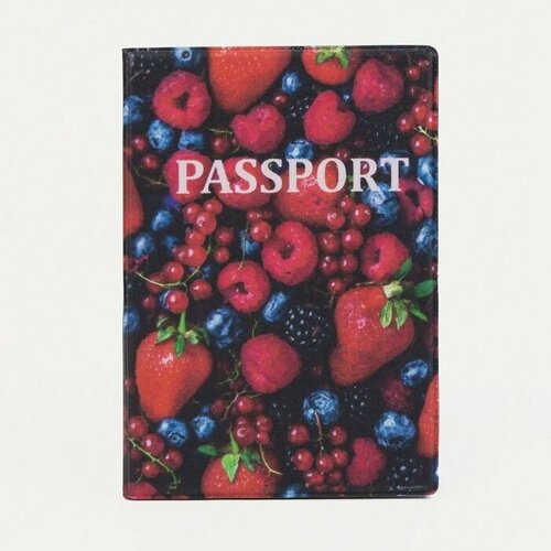 Обложка для паспорта , мультиколор, синий