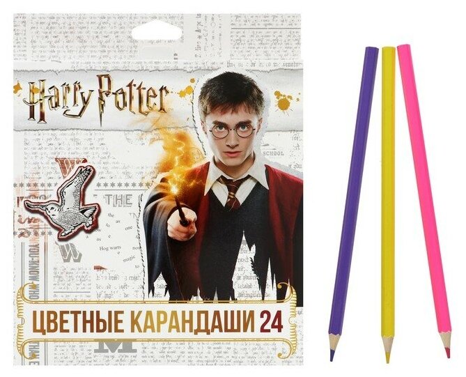 Hatber Карандаши цветные 24 цвета "Гарри Поттер", заточенные, картонная коробка, европодвес