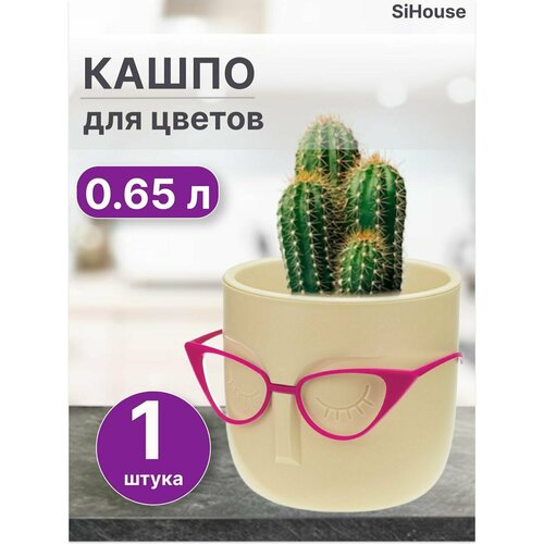 Кашпо для цветов и мелочей 0,65 л мари D115мм со вставкой Белая Глина / Горшок для кактусов суккулентов, и фиалок / Голова
