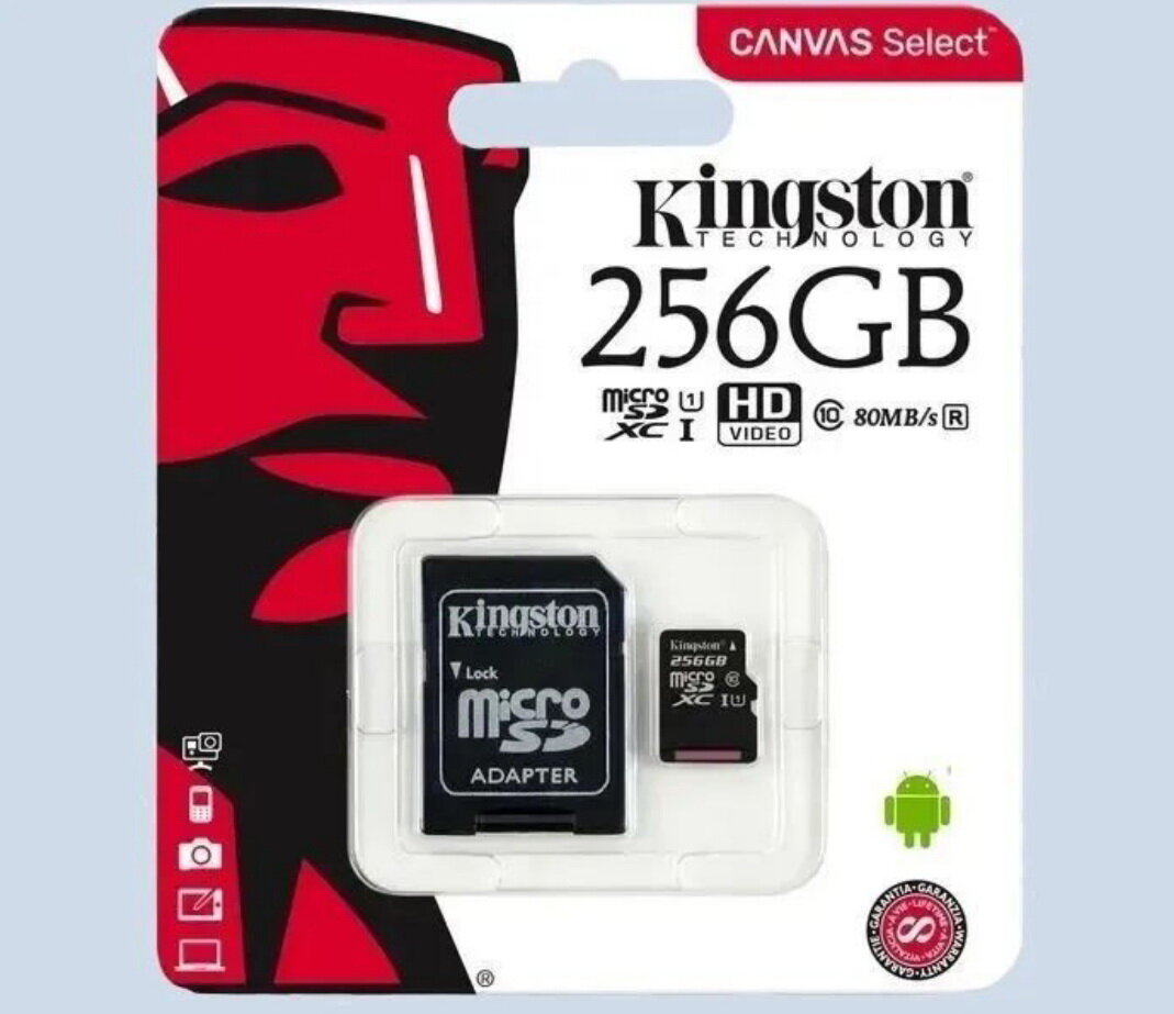 Карта памяти Kingston microSDHC 256 ГБ Class 4, R 4 МБ/с, адаптер на SD