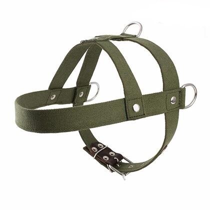 фото Шлейка (Лаурон) брезентовая универсальная средняя 25мм