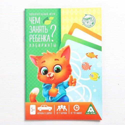 Развивающая книга-игра «Чем занять ребёнка? Лабиринты», 26 страниц, 5+