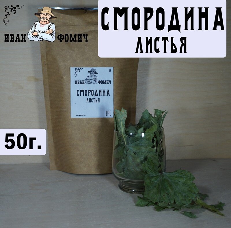 Смородина черная листья