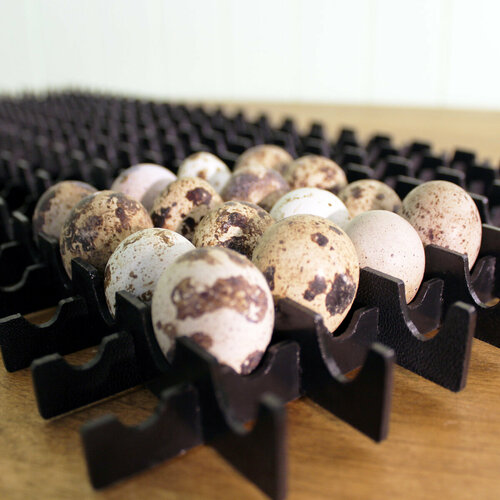 Перегородки в лоток для инкубатора Блиц Матрица Рио, Матрица Вегас (перепелиные яйца)