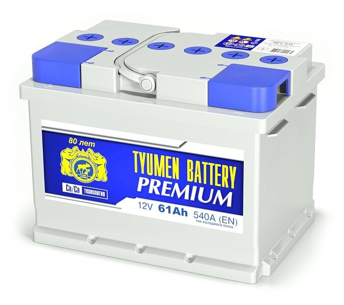 Аккумулятор автомобильный TYUMEN BATTERY PREMIUM 6СТ-61 пп. (низкий) 242x175x175
