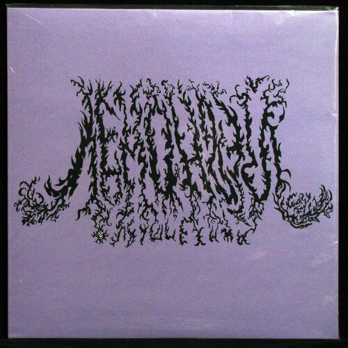 Виниловая пластинка Anchor Lights Лемондэй – Лучшие Хиты (+ poster)