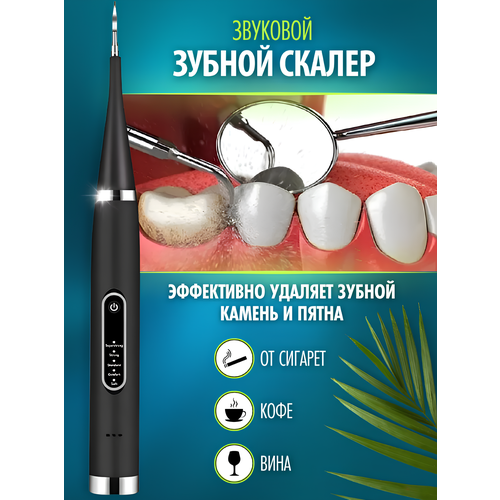 Зубная щетка скалер 2 в 1 черная 99900₽