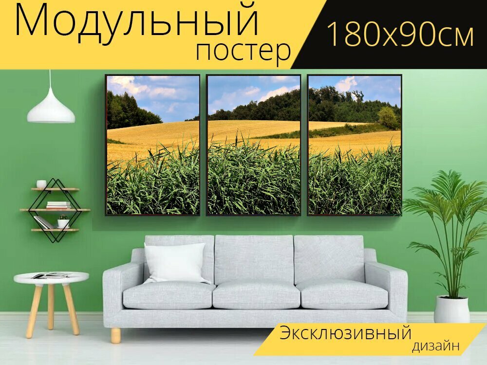 Модульный постер "Пейзаж, летом, поля" 180 x 90 см. для интерьера