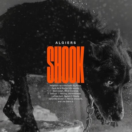 Виниловые пластинки, MATADOR, ALGIERS - Shook (2LP)