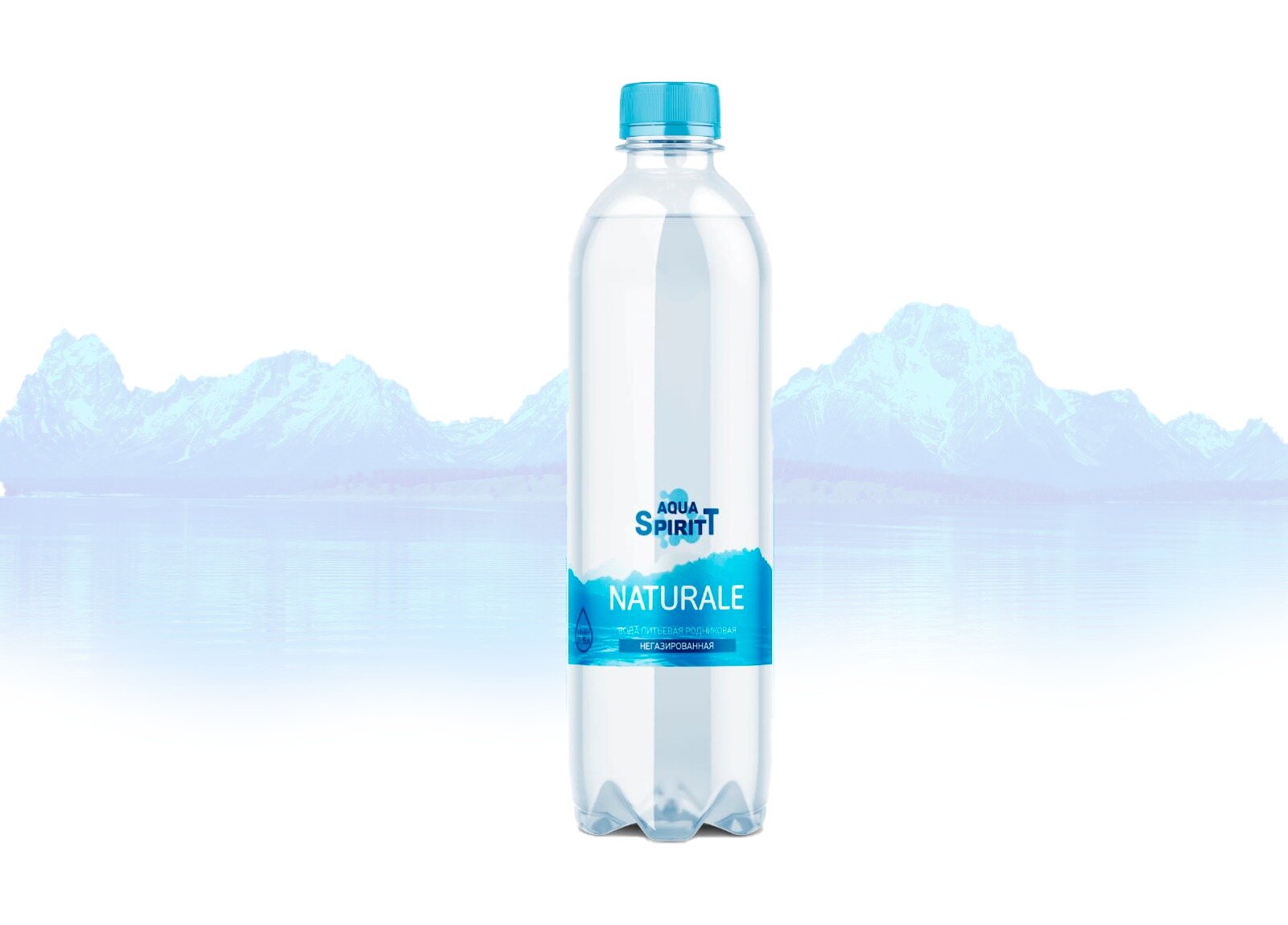 Вода питьевая родниковая NATURALE негазированная ТМ Aqua SpiritT 0,5 литра, упаковка 12 бутылок - фотография № 2