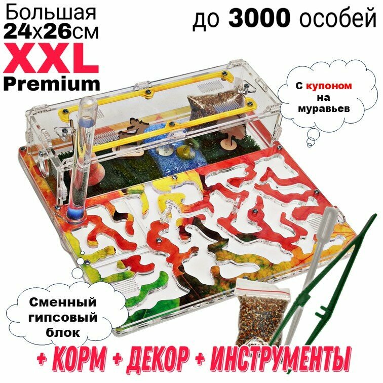 Большая муравьиная ферма XXL Premium 24*26см Полный комплект Листопад