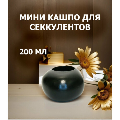 Кашпо для секкулентов