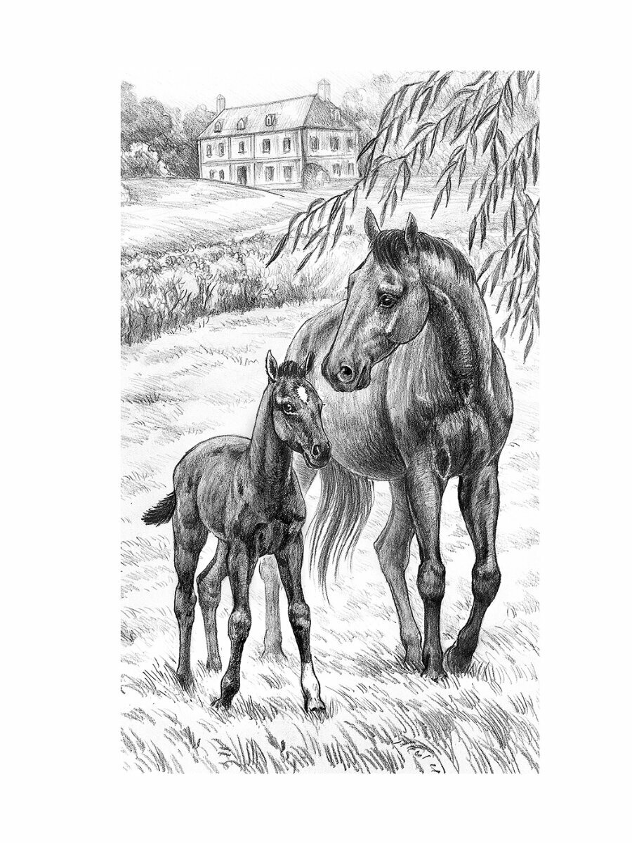 Чёрный красавчик. Black Beauty. Книга для чтения на английском языке в 6-7 классах - фото №7