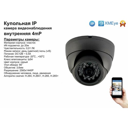 DVS300IP4MP Внутренняя IP камера 4мП с ИК до 20м 255800₽