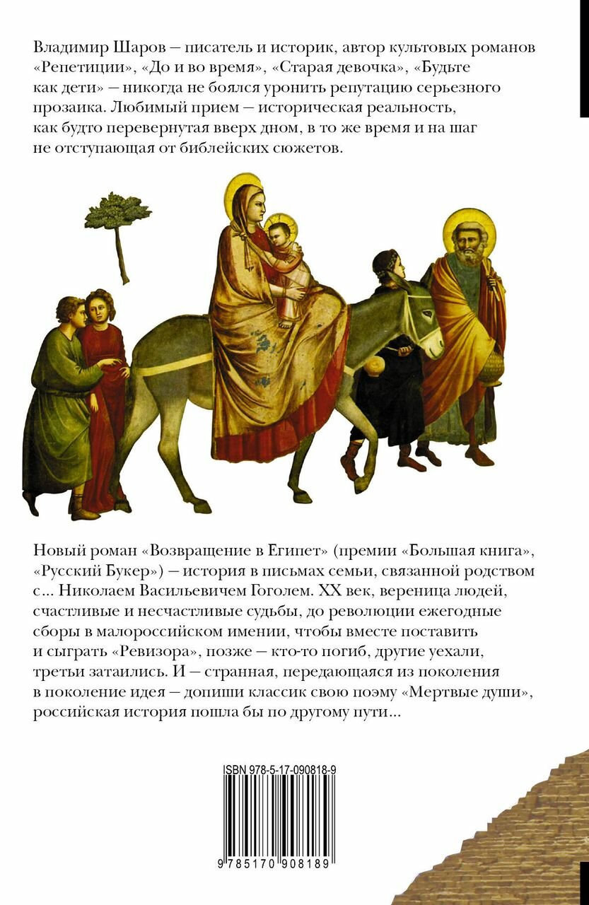 Возвращение в Египет (Шаров Владимир Александрович) - фото №3