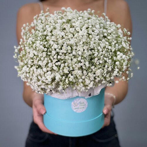 Изображение товара Белая гипсофила в шляпной коробке S от «365 Поводов» - живые цветы с доставкой