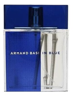 ARMAND BASI In Blue Pour Homme Туалетная вода для мужчин 100 ml